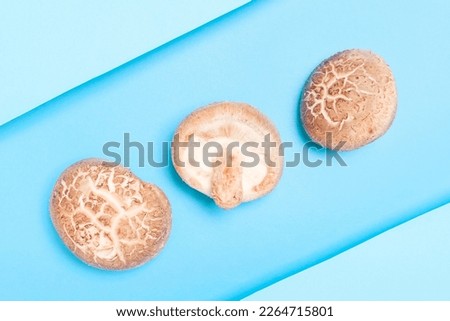 Shiitake mushrooms on blue background close up top view.