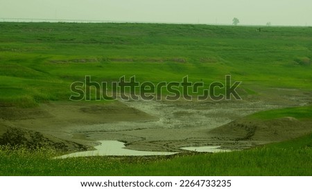 Green grass on the shore of a lake in Iceland, Europe.