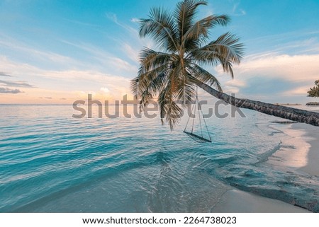 Relax vacation leisure lifestyle on exotic tropical island beach, palm tree hammock hanging calm sea. Paradise beach landscape, water villas, sunrise sky clouds amazing reflections. Beautiful nature
 Royalty-Free Stock Photo #2264738023