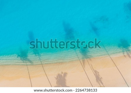 Aerial beach palm tree shadows on sunset seaside beach sand turquoise ocean from above. Amazing summer nature landscape. Best sea shore tranquil peaceful and inspire beach vacation template top view