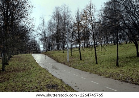 Cloudy with rainfall - bare trees with bicycle road in Park - February , winter with little snowfall - snow has recently melted - warming , road suitable for driving
