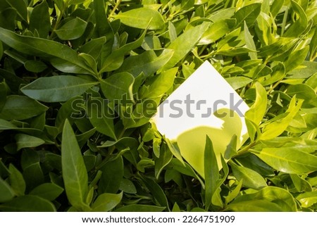 a single yellow square paper note resting in a green leaf hedge with empty free space for template or blank copy area