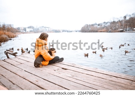 
A teenage girl in a red jacket feeds wild ducks on the river bank with a dachshund dog. Royalty-Free Stock Photo #2264760425