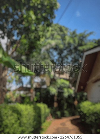 Defocused Background Of a street with a tree and a house beside it
