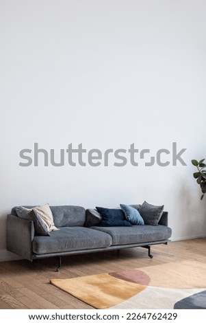 Scandinavian style interior. Cozy apartment with modern sofa. White wall background as a frame for text. 
