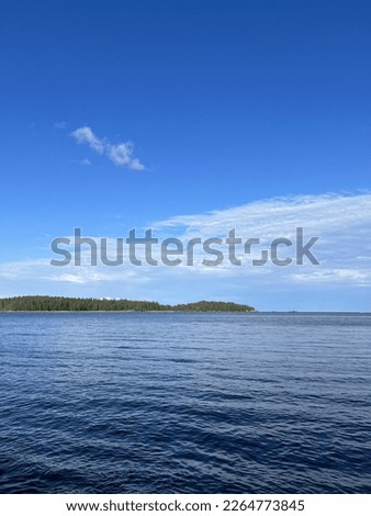 Wild lake in the forest, north lake coast