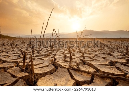 Dead trees on dry cracked earth metaphor Drought, Water crisis and World Climate change. Royalty-Free Stock Photo #2264793013
