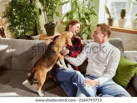 Happy family, man and woman cuddling their dog beagle, having fun together in living room. Young couple sitting on the sofa at home, relaxing. Concept of relationship, family, animal life