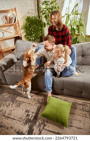 Feeding dog. Beautiful young family, couple, parents playing with dog, beagle in living room. Having fun at home. Concept of relationship, family, parenthood, childhood, animal life