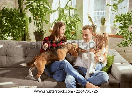 Lovely cute family, parents and child relaxing at home, playing with beagle dog in their living room on sunny day. Weekends. Concept of relationship, family, parenthood, childhood, animal life