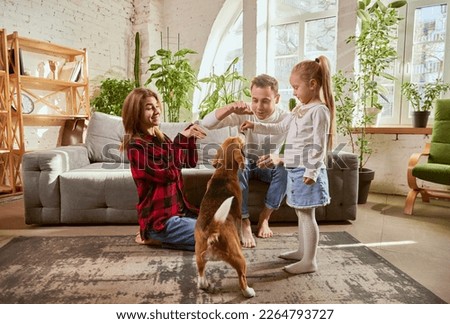 Lovely cute family, parents and child relaxing at home, playing with beagle dog in their living room on sunny day. Weekends. Concept of relationship, family, parenthood, childhood, animal life