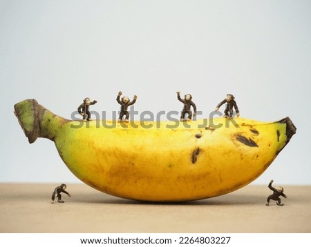 Mini toy at table with white background. Banana photography concept.