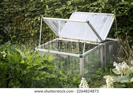 Mini Greenhouse for Growing Vegetables Seedlings. Home Cartoon Miniature Glasshouse for planting Vegetable at community garden. Royalty-Free Stock Photo #2264824873