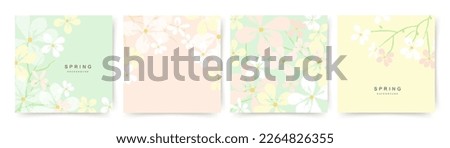 Spring abstract vector backgrounds with flowers, green branches and leaves. Art illustration for card, banner, invitation, social media post, poster, mobile apps, advertising