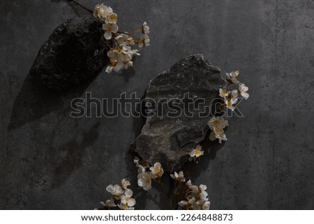 Two black stones and white flowers on black background. Blank space for text.