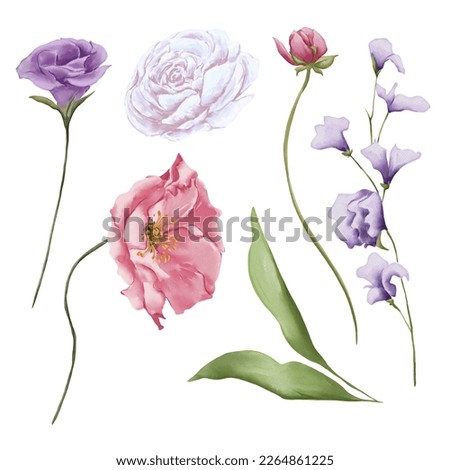 Watercolor botanical illustration of pink, white and purple wild flowers