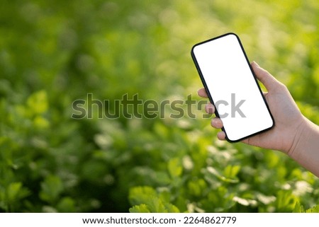 Mockup mobile phone blank white screen, hands holding smartphone empty display use for application information and advertise with organic vegetable farm background.