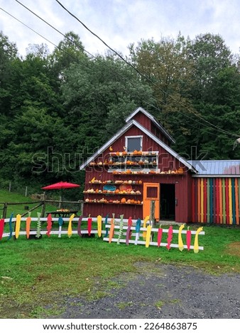 Barn with colorful vegetables picket fence and many pumpkins sitting on the outdoor shelves located in Vermont