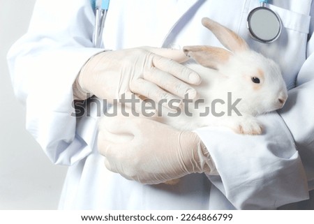 Rabbit needs veterinary care, sick and injured bunny pet has check-up at a vet clinic, hand of doctor wearing gloves gently holding rabbit.