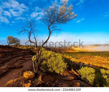 panorama of murchison river gorge in kalbarri national park during sunrise, western australia; desert landscape with red rocks and a river in a deep gorge near nature's window	 Royalty-Free Stock Photo #2264881109