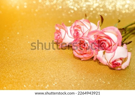 Pink rose on a shiny gold background
