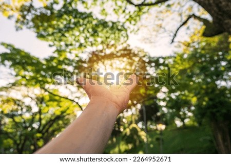 Young man's hand reaching for the sunrise above the trees in the morning