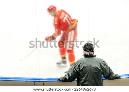 a spectator at a game in a hockey stadium