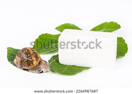 White soap cosmetics on green leaf, made with snail slime. Very healthy and organic products. Royalty-Free Stock Photo #2264987687