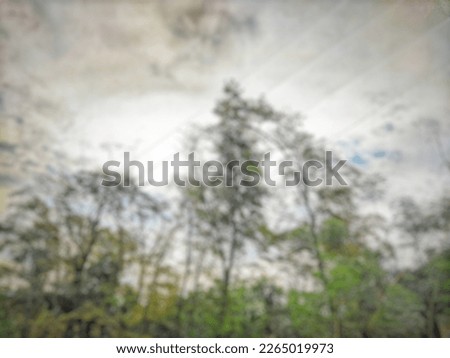 defocused abstract background on teak tree
