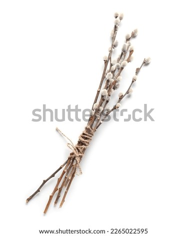 Pussy willow branches isolated on white background Royalty-Free Stock Photo #2265022595