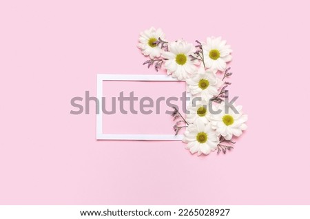 Blank frame and beautiful chrysanthemum flowers on pink background