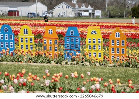 A fake village standing in a field of vibrant tulips that are growing from the ground.
