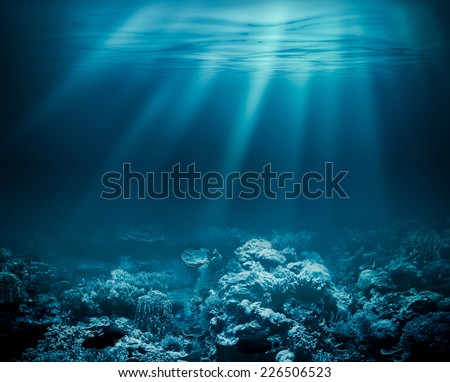 Sea deep or ocean underwater with coral reef as a background Royalty-Free Stock Photo #226506523