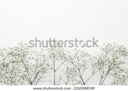 Floral composition with light, airy masses of small white flowers on turquoise white background, top view, frame. Gypsophila Baby's-breath flowers Royalty-Free Stock Photo #2265088189