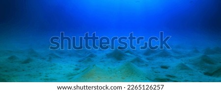 panorama coral reef underwater landscape seascape Royalty-Free Stock Photo #2265126257