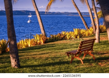 Idyllic Porto Seguro Beach at sunset with palm trees in BAHIA, Brazil