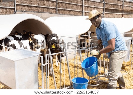 Positive male farm worker with bucket giving water to calves at dairy farm