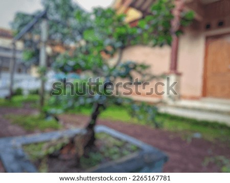 Defocused abstract background of
Bonsai plants in the yard