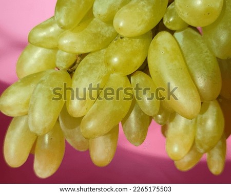 Grapes a fresh and healthy naturally green bunch of grapes picture