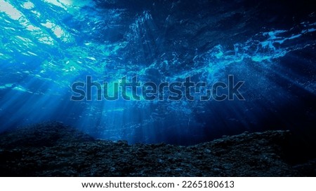 Artistic underwater photo of rays of light in blue colours over the reef. Home decor and art for your interior design.