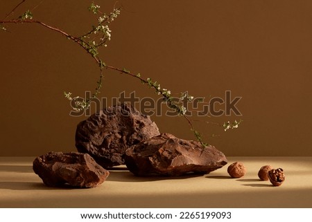 A flower branch, walnuts and some stones with brown minimal scene