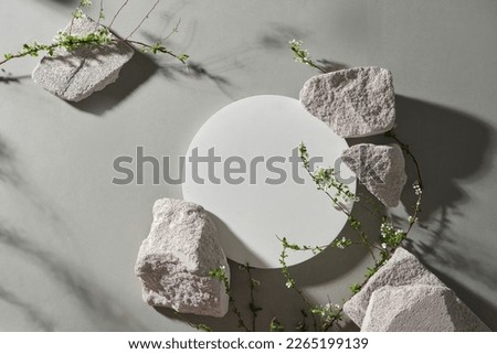 White round podium, pedestal cosmetic beauty product on gray background with spring flowers, tree shadow and stone, flat lay backdrop luxury template, top view