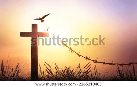 Broken barbed wire and free flying birds on cross sunset background