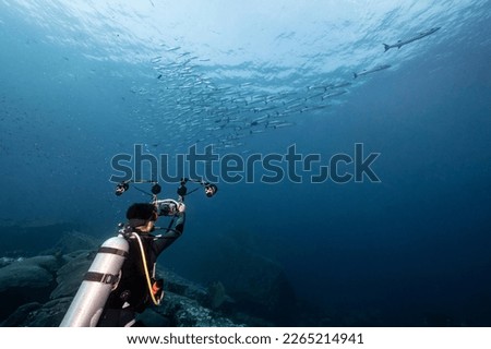Male scuba diver taking a photo school of Barracuda fish in the blue ocean. Underwater photography concept