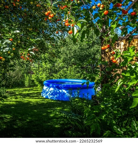 Inflatable blue pool in the backyard of a private house.