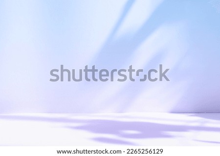 Abstract purple studio background for product presentation. Empty room with shadows of window and flowers and palm leaves . 3d room with copy space. Summer concert. Blurred backdrop.