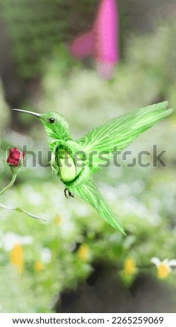 Hummingbird with Cabbage Photo Manipulation