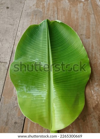 young banana leaves on a wooden table