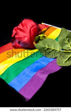 Red rose on lgbtq flag on black background. A red rose on a rainbow flag.
