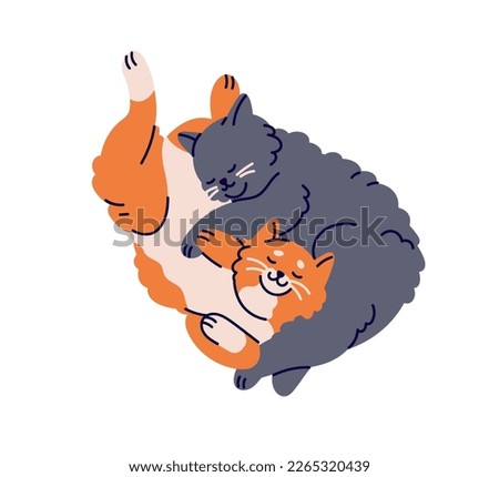 Cute cats couple sleeping, hugging. Happy sweet sleepy lazy kitties in love lying together, embracing. Adorable feline animal asleep, top view. Flat vector illustration isolated on white background Royalty-Free Stock Photo #2265320439